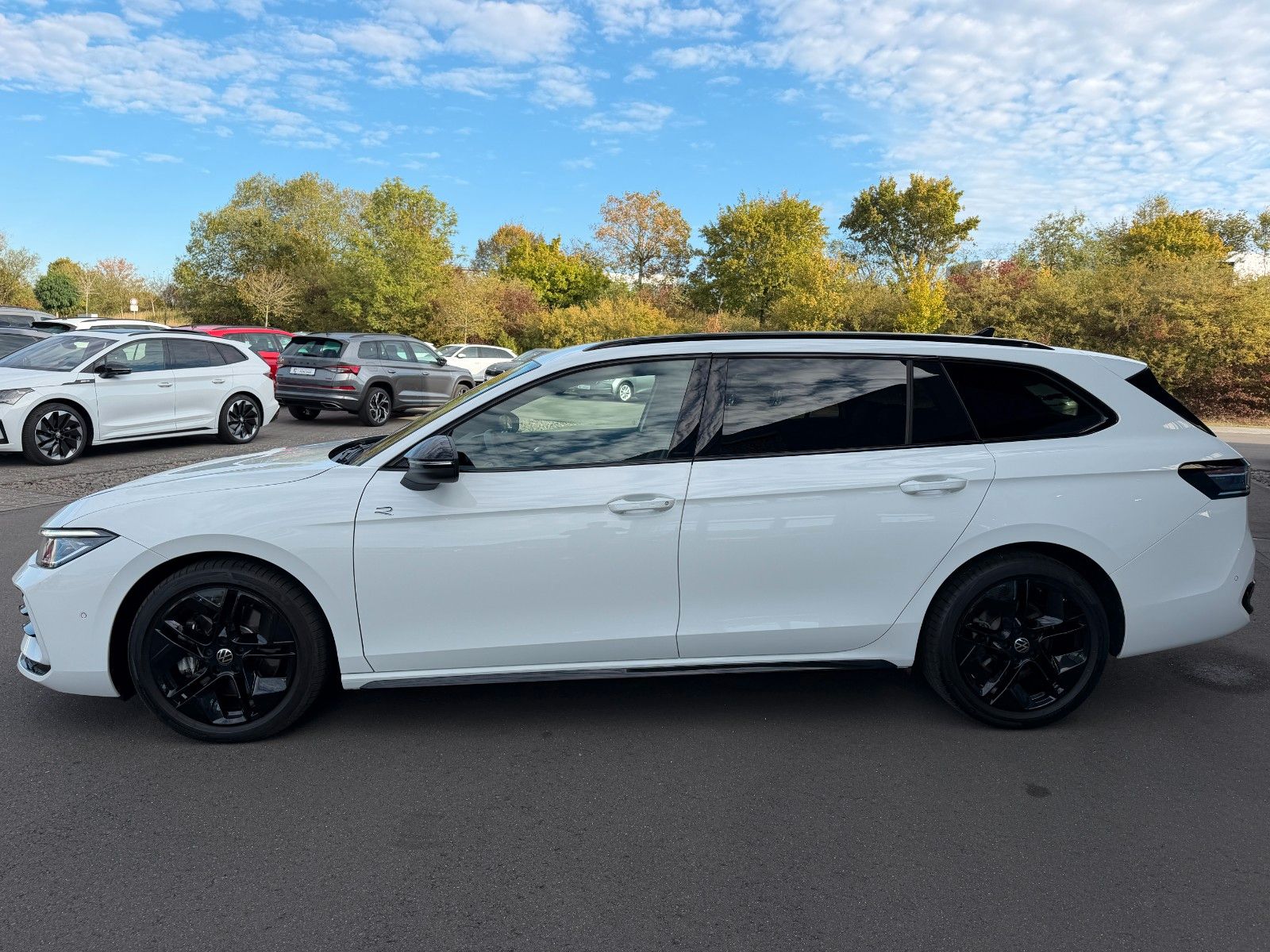 Volkswagen Passat Variant 2.0TDI 4Motion R-Line AHK Standhz foto 9
