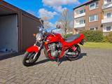 Suzuki GSF 600 Bandit // TÜV NEU // OHNE RFB! - Offers