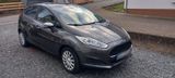 Ford Fiesta JA8 1,3 L SEHR GUTER ZUSTAND - Ford Fiesta: Ja8