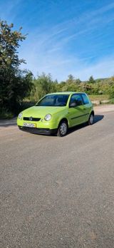 Volkswagen VW Lupo 1.0 Fantasia Green - TÜV / Service... - Volkswagen Lupo aus 1998