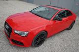Audi A5 Coupé 1.8 TFSI Autom. |Navi| |Leder| |Kamera| - Audi Gebrauchtwagen in München
