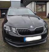 Skoda Octavia 2.0 TSI DSG Style Combi Style - Skoda Octavia Gebrauchtwagen in Münster
