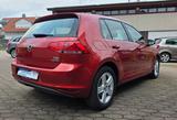 Volkswagen Golf VII Lim.  TGI * BENZIN 50 lt TANK und GAS - Volkswagen Golf: Tgi