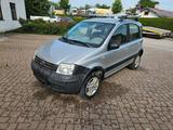 Fiat Panda 1.2 8V Climbing 4X4 - gebrauchte Fiat Panda aus dem Jahr 2005