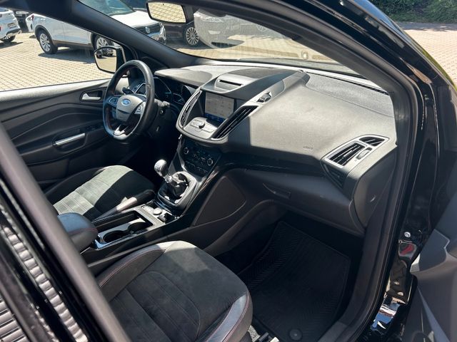 Kuga ST-Line