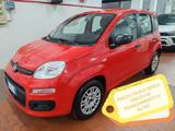 Fiat Panda 1.2 Easy 69cv 5 POSTI PREZZO REALE - Fiat Panda Cabrio Gebrauchtwagen