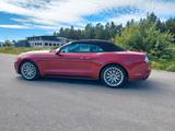 Ford Mustang Basis Convertible - Ford: Cabrio