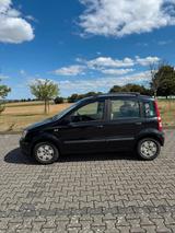 Fiat Panda 169 Open Sky Youngtimer - Fiat Panda: Young