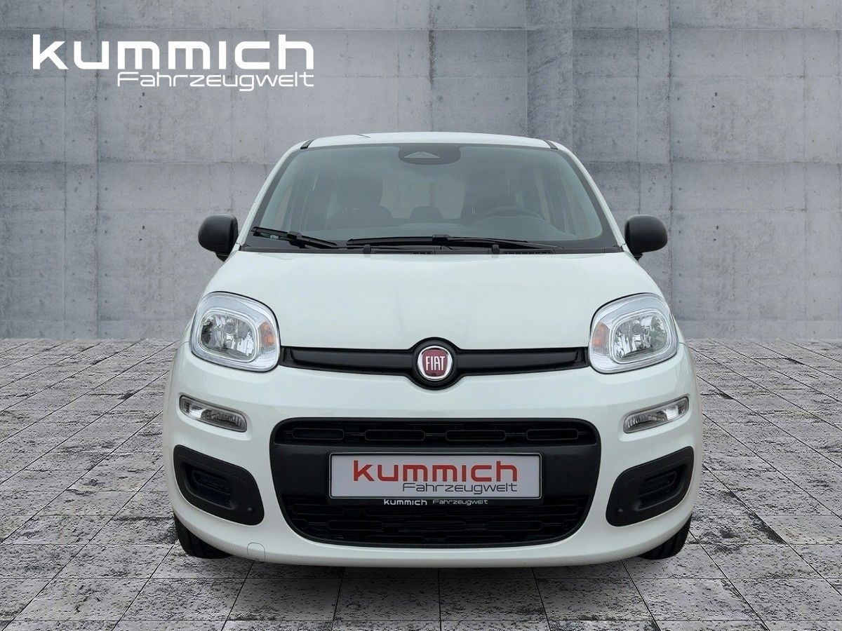 Fiat Panda - Bild 2