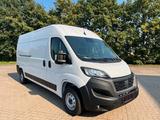 Fiat Ducato Kasten L4H2 140 Einzelsitze - Fiat Ducato in Hannover