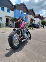 Suzuki VS 800 - Offers