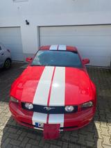 Ford Mustang - Ford Mustang Gebrauchtwagen in Köln