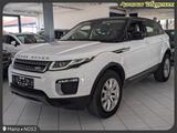 Land Rover Range Rover Evoque 2.0 Sd4 Automatik KETTE  NEU
