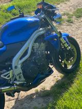 Triumph Daytona  - TRIUMPH DAYTONA