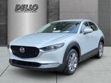 Mazda CX-30 Centre-Line 2.5 M-Hybrid Design-Paket HUD  - Mazda CX-30: Centre Line