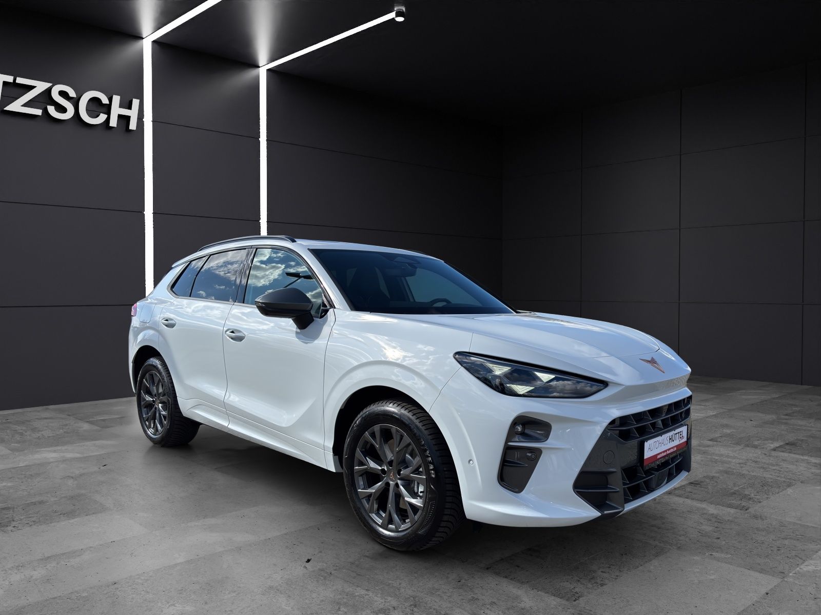 Fahrzeugabbildung CUPRA Terramar 2.0 TSI DSG 4x4 AHZ Matrix LED Pano Key