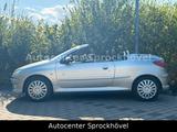 Peugeot 206 CC |Roland Garros| - graue Peugeot 206