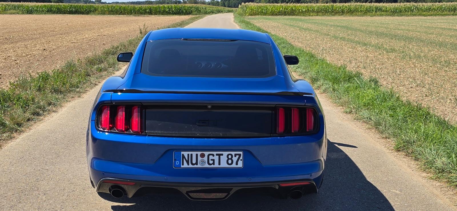 Ford Mustang 5.0 Ti-VCT V8 GT Brembo Rcam 441PS