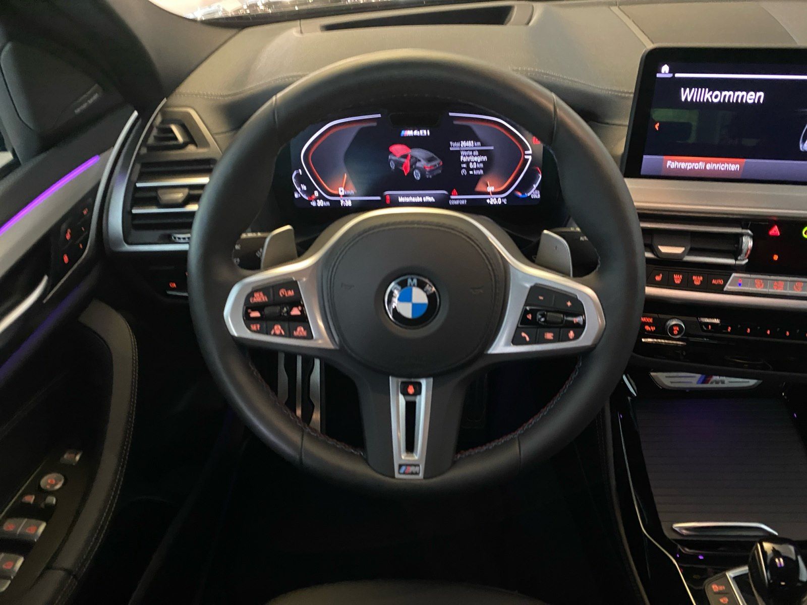 BMW X4 M40 - Bild 9