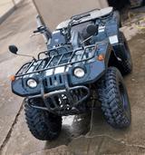 Yamaha Grizzly 660 YFM 660 FWA 4x4 | Bj. 1999  - Offers