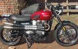 Triumph Street Scrambler 900 - TRIUMPH OSNABRÜCK