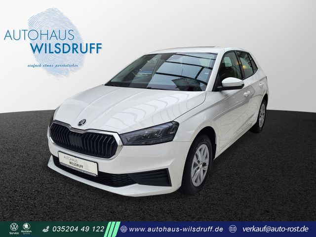 Skoda Fabia Ambition*LED*APP-CON*SHZ*KAMERA*ALU