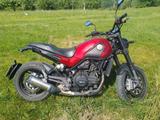 Benelli P18 Leoncino 500 - BENELLI LEONCINO 500