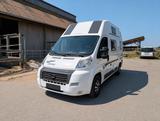 Karmann Dexter 550 / Raumwunder / Hubbett  - Karmann Wohnwagen & Wohnmobile