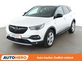 Opel Grandland X 1.5 CDTI Business INNOVATION*NAVI* - Opel Grandland (X) Business Gebrauchtwagen
