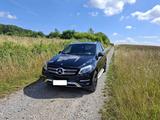 Mercedes-Benz GLE 250 d 4MATIC - - Mercedes-Benz GLE 250 Gebrauchtwagen