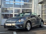 Volkswagen Beetle Cabriolet 1.2 TSI KLIMA/SHZ/PDC - gebrauchte VW Beetle aus dem Jahr 2018