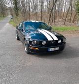 Ford Mustang GT 4.6 V8 LPG Leder Tüv Neu  - Ford Mustang aus 2006: V6