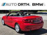 BMW 218i Cabrio AUTOM. NAVI SHZ PDC KLIMAAUT. TEMPO - rote BMW 218