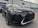 Lexus UX 250 h EXECUTIVE LINE/ACC/LED/DAB/SITZH/ - Lexus UX: Executive Line