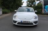 Volkswagen Beetle Cabriolet Sound Navi PDC BMT/Start-Stopp - gebrauchte VW Beetle aus dem Jahr 2017