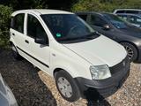 Fiat Panda 1.1 8V Active TÜV bis 2027 - Fiat Panda in Hagen