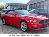 Ford Mustang 5.0 Ti-VCT V8 GT Auto°Kein-US°Cabrio°TOP - Ford Mustang: Us