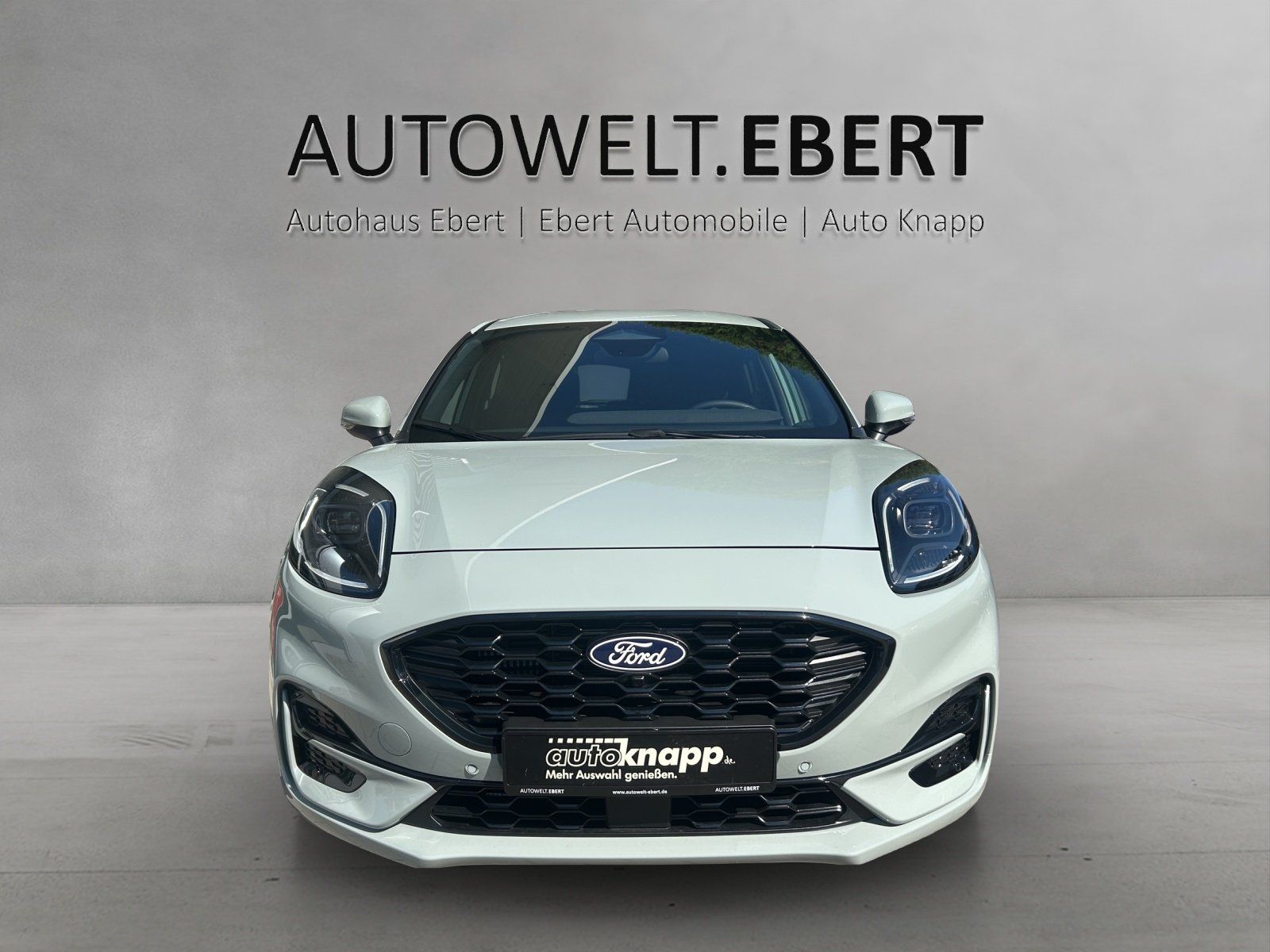 Fahrzeugabbildung Ford Puma ST Line,FGS 3.-5 Jahr bis 100 000KM
