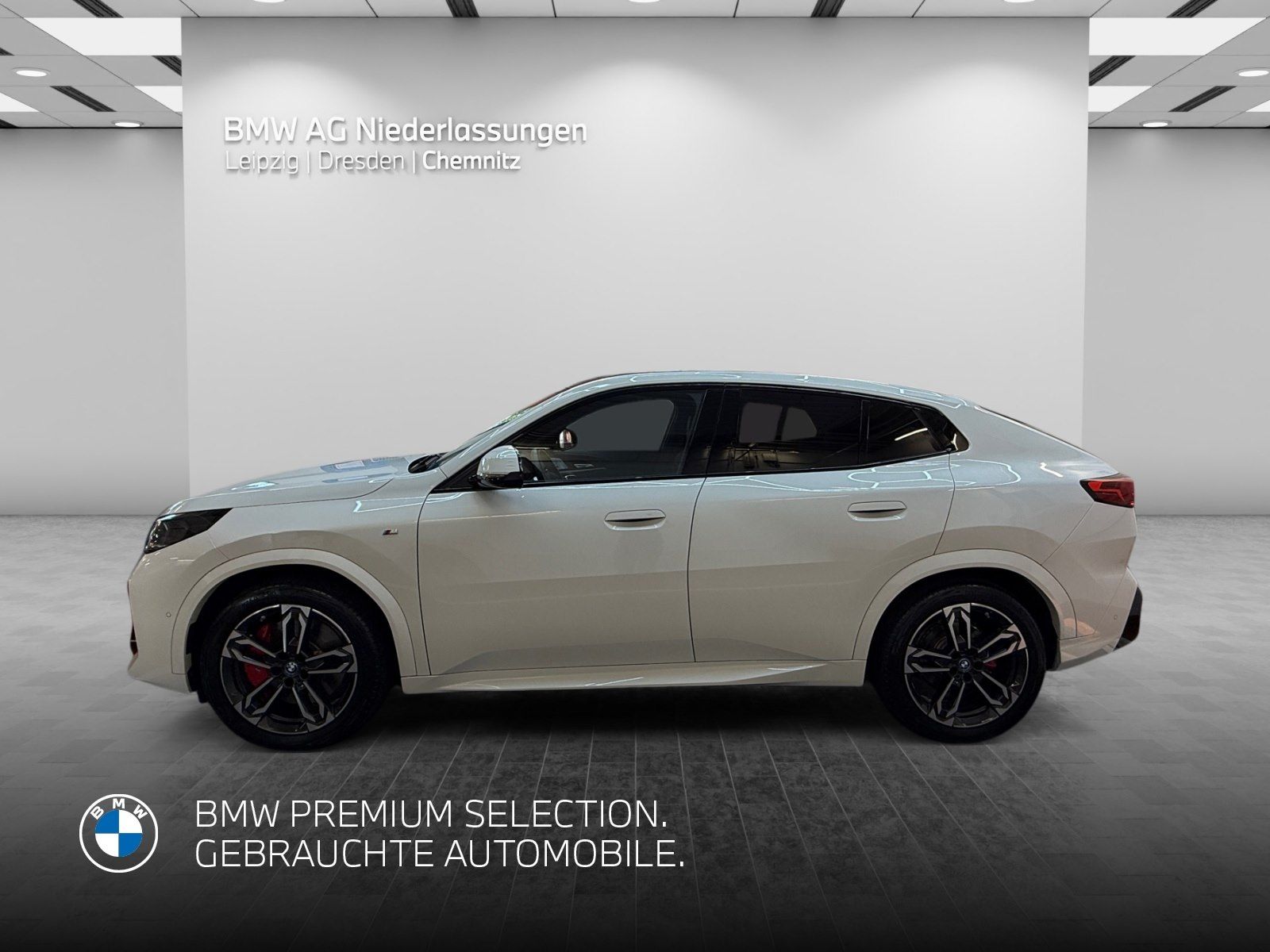 BMW iX2 xDrive30 M Sport Driv.Assist.Prof Harman K foto 2