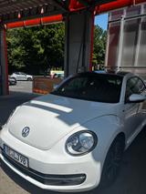 Volkswagen Beetle 2.0 TDI 81kW BMT ALLSTAR ALLSTAR - Volkswagen Beetle in Bochum