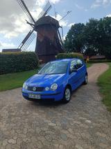 Volkswagen VW Polo 9N 1.4 TDI | 75 PS | Rostfrei | TÜ... - Volkswagen Polo aus 2004: TDI