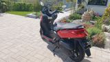 Yamaha XMAX 125 - wenig KM und sehr gepflegt - ABS ROLLER 125