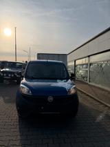 Fiat Doblo Doblò Basis Kasten mit Hagelschaden - Fiat Doblo: Van
