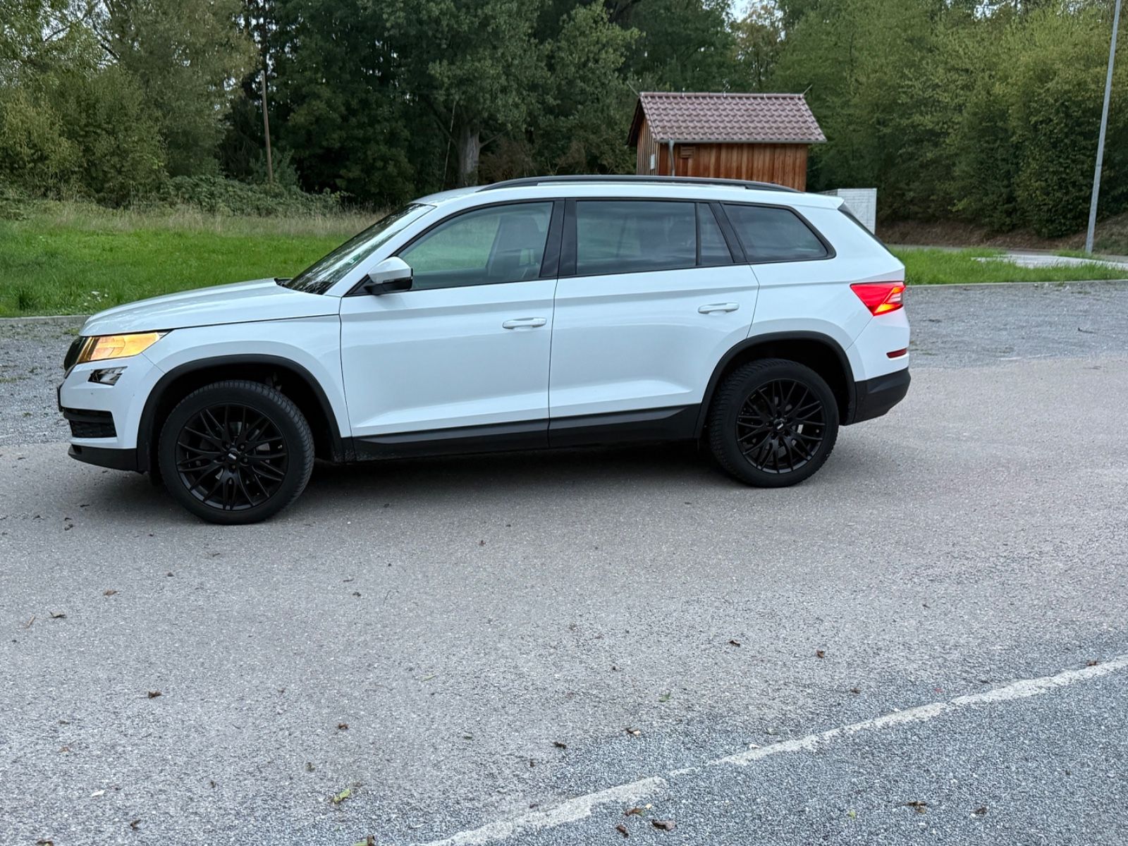 Skoda 2,0 TDI , SRC, 4x4 ,7 Sitze imagem 2