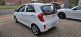 Kia Picanto Edition 7 LPG Flüssiggas/Benzin - Kia mit LPG-Antrieb