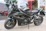 Honda CBR650R *E-Clutch optional* - HONDA CBR650R E CLUTCH