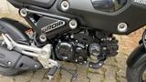 Honda Grom  MSX 125  - HONDA MSX 125