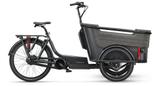 Batavus Fier-3 Env Cargo 3W 52cm - Batavus E-Bikes