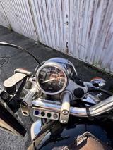 Yamaha Virago 535 - YAMAHA 1994 VIRAGO 535