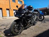 Triumph Daytona 675 - TRIUMPH 675 DAYTONA